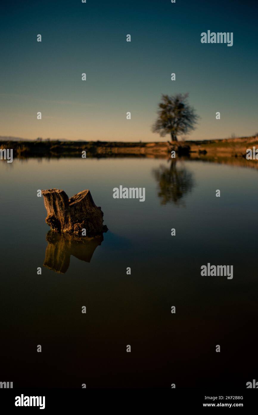 A beautiful view of a tree stump in a lake with reflection during ...