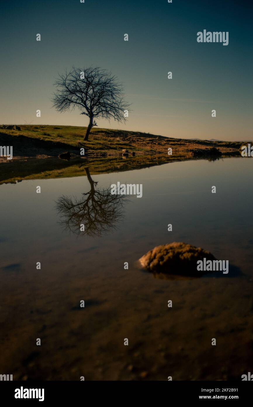 A beautiful view of a tree stump in a lake with reflection during ...
