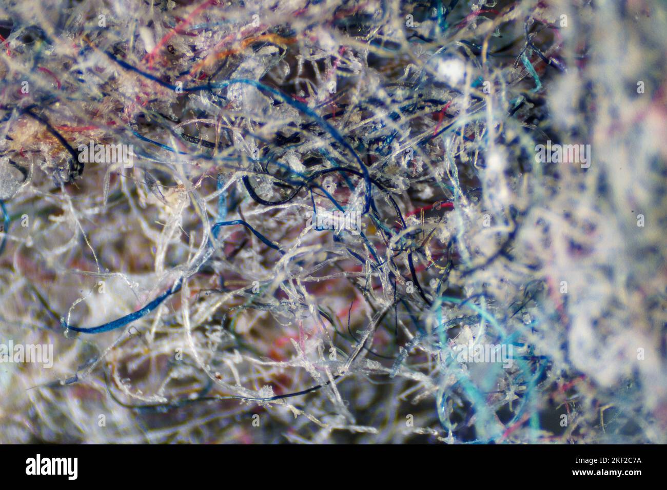 The Microscopic World. Ordinary house dust under the microscope Stock Photo Alamy