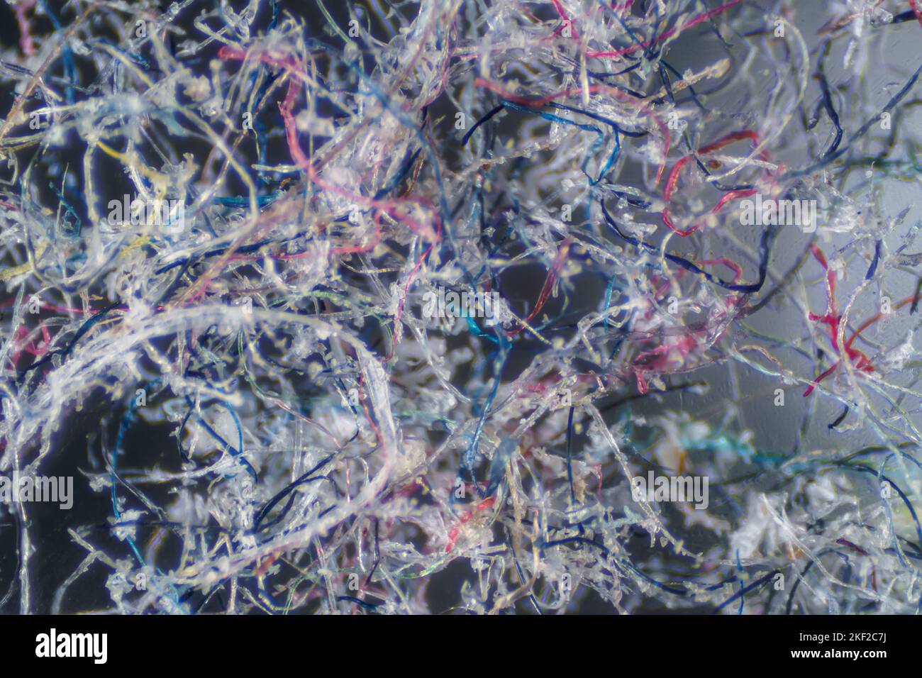 The Microscopic World. Ordinary house dust under the microscope Stock Photo Alamy