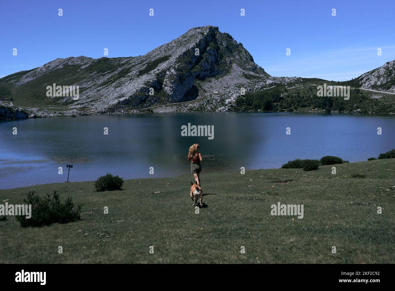 blonde caucasian girl and big blonde dog on her back running towards the lake in a natural environment surrounded by vegetation, covadonga asturias Stock Photo