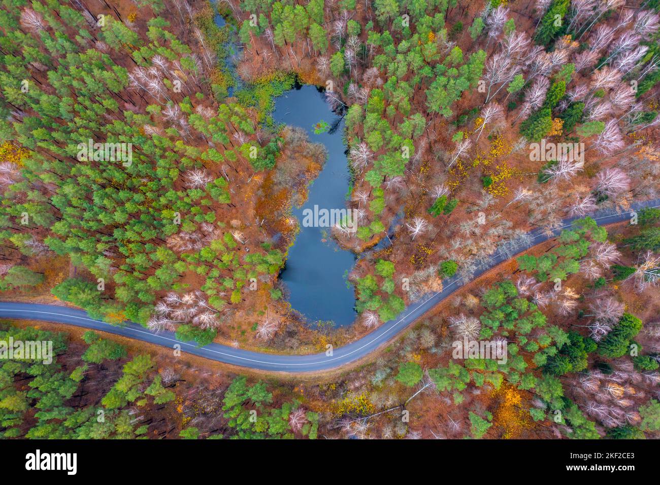 Aerial winding road among trees hi-res stock photography and images - Alamy