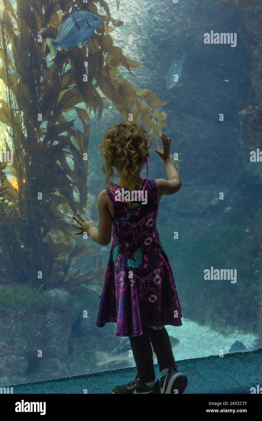 Young girl enjoys the wonders of the aquarium Stock Photo