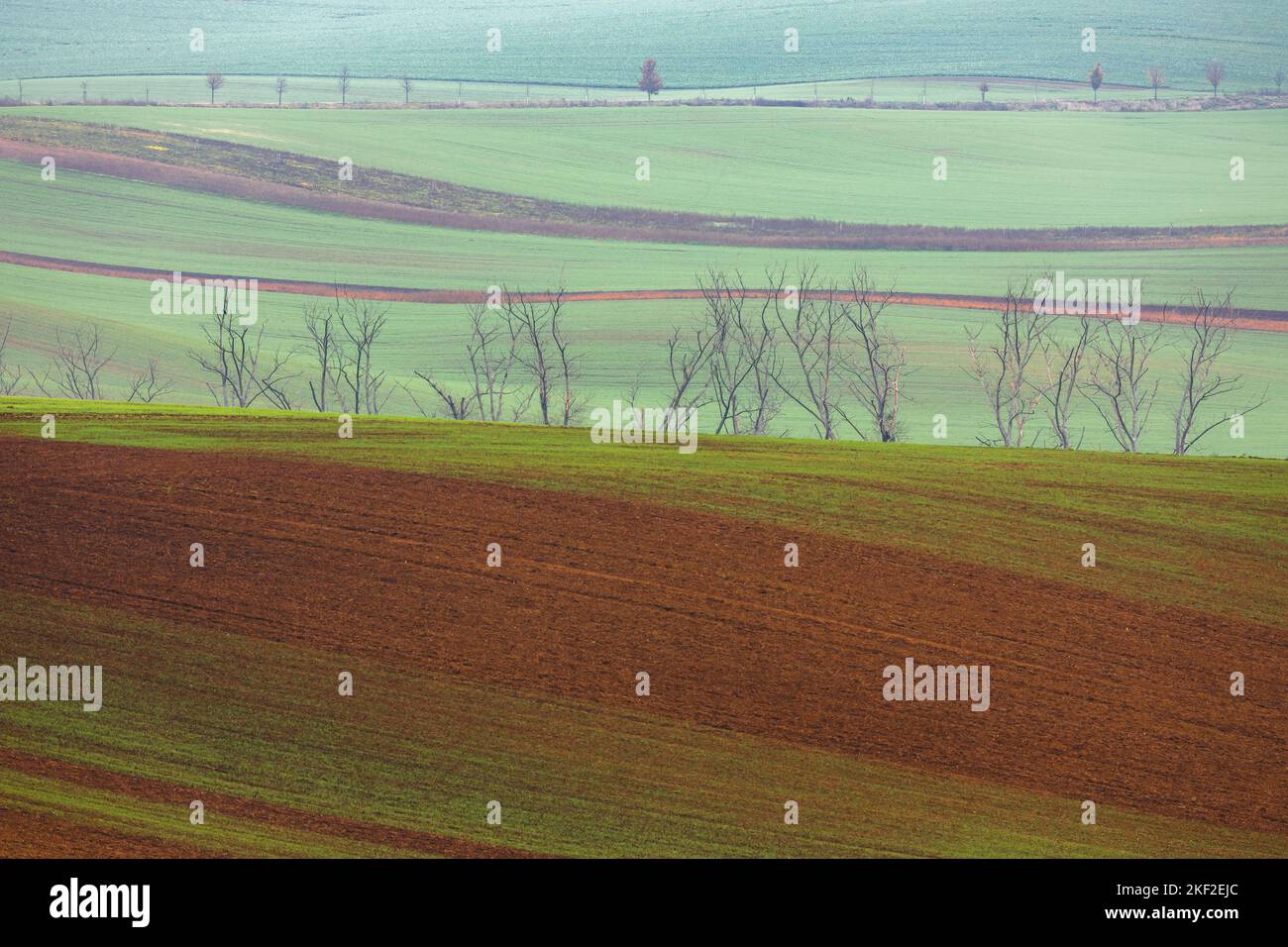 Layers and patterns in the agricultural soil in the rolling hills and rural countryside farmland of the Hodonin District in South Moravia, Czech Repub Stock Photo