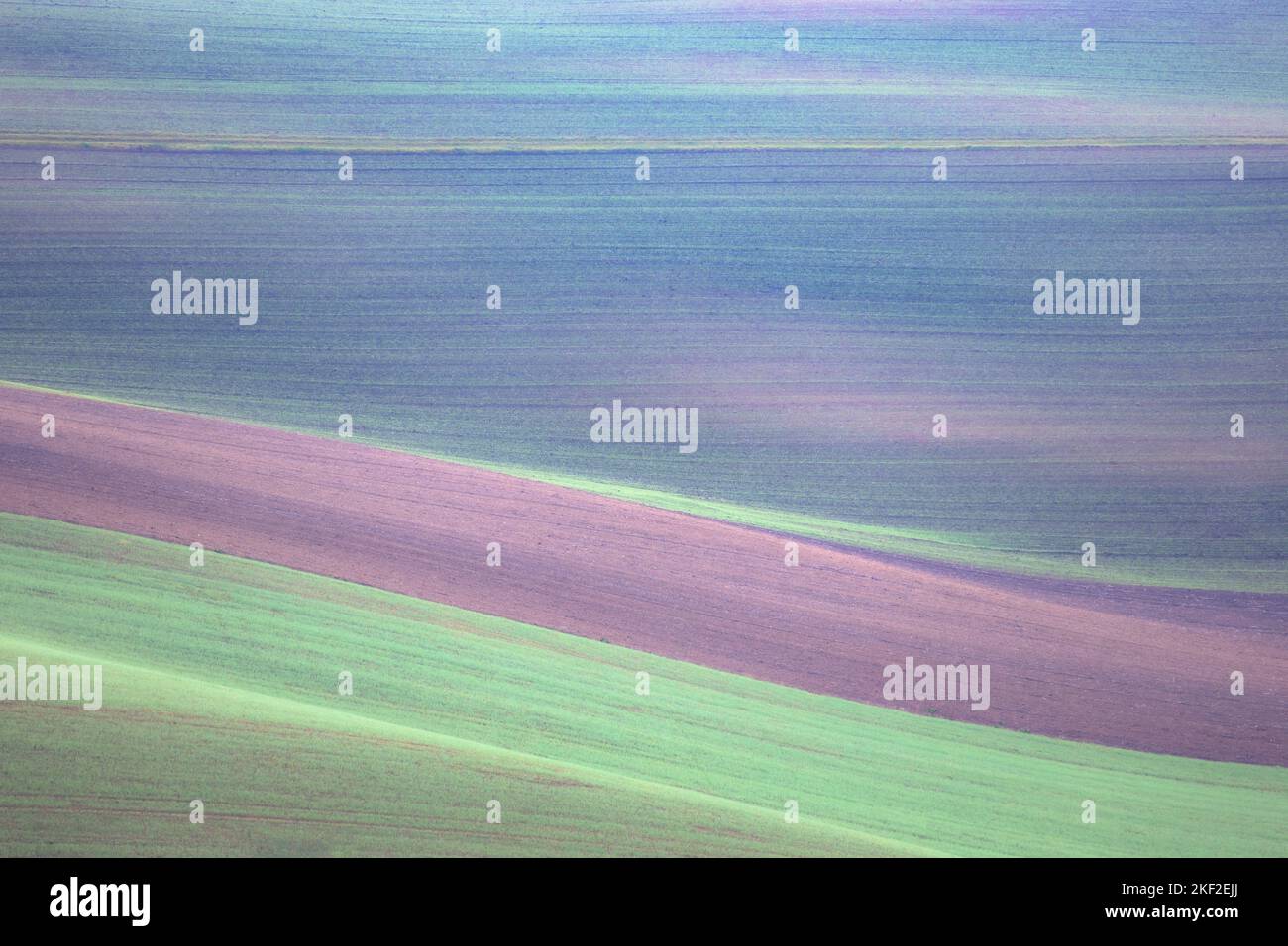 Abstract detail of layers of colourful bands of soil in the agriculture farmland of South Moravia in the Czech Republic. Stock Photo