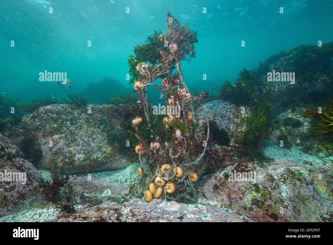 Old fishing net tangled underwater on the ocean floor, Eastern Atlantic, Spain Stock Photo