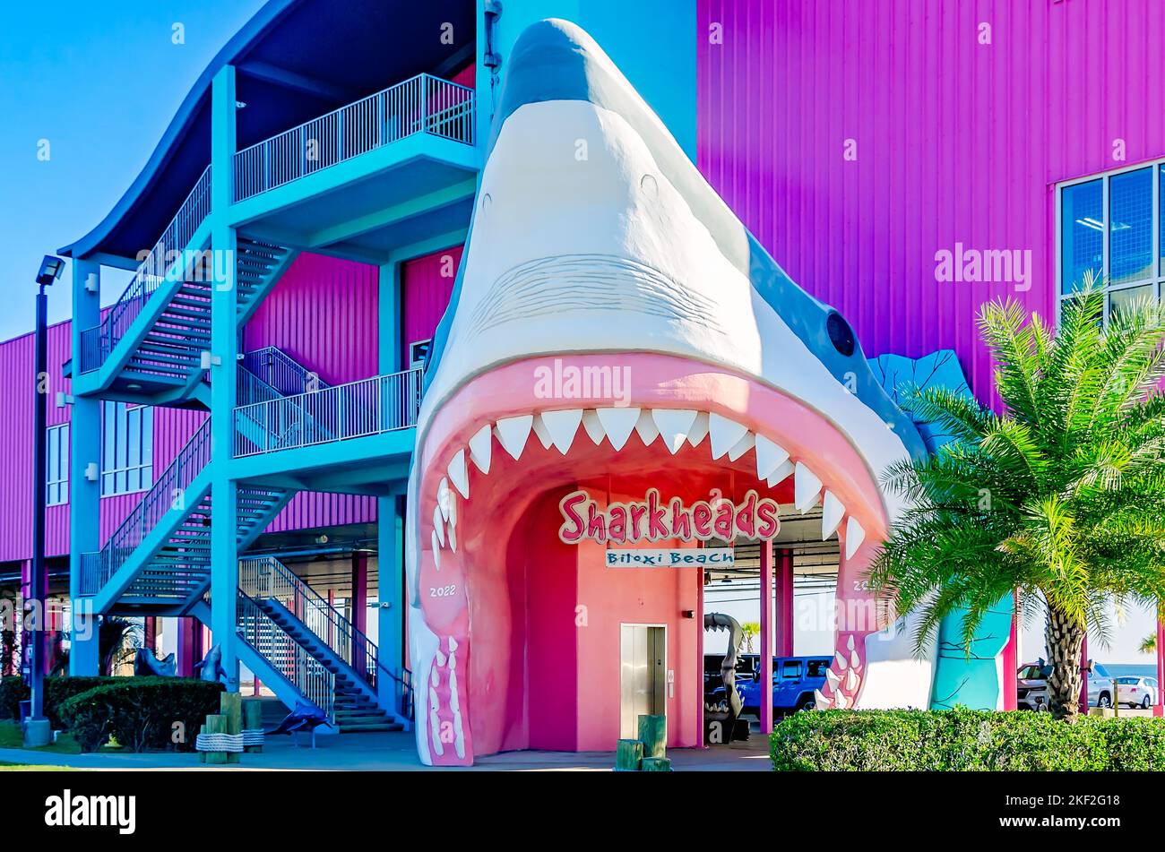 Sharkheads souvenir shop features a shark head entrance and bright pink building, Nov. 13, 2022, in Biloxi, Mississippi. Stock Photo