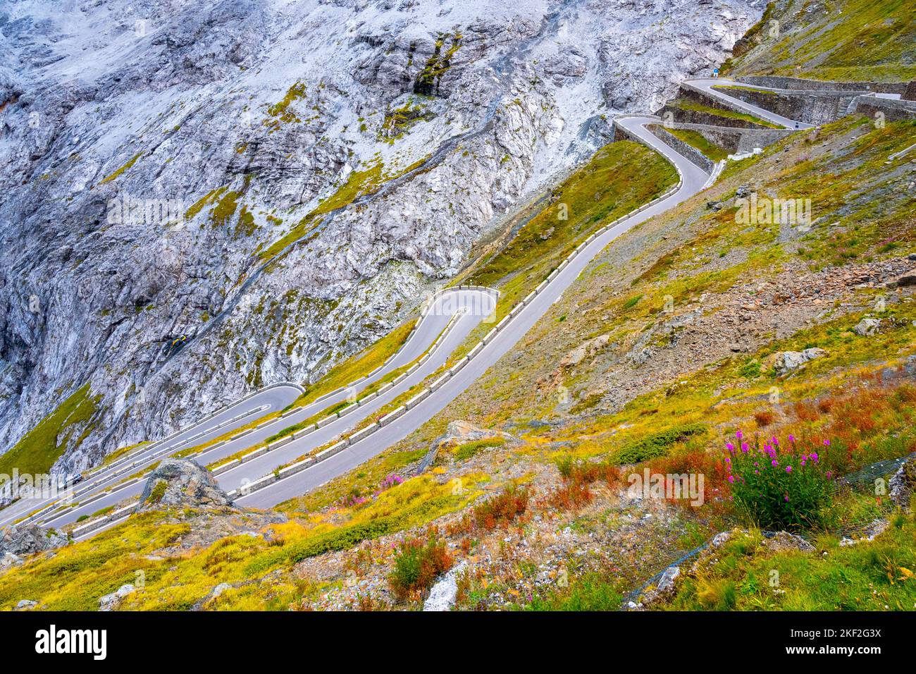 Serpentines of alpine mountain road to Stelvio Pass, Italian: Passo