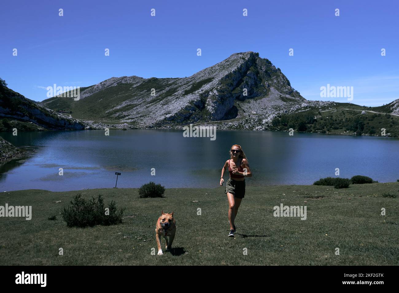 blonde caucasian girl running towards camera with her dog laughing at her and having fun by the lake on a clear day, covadonga asturias, spain Stock Photo
