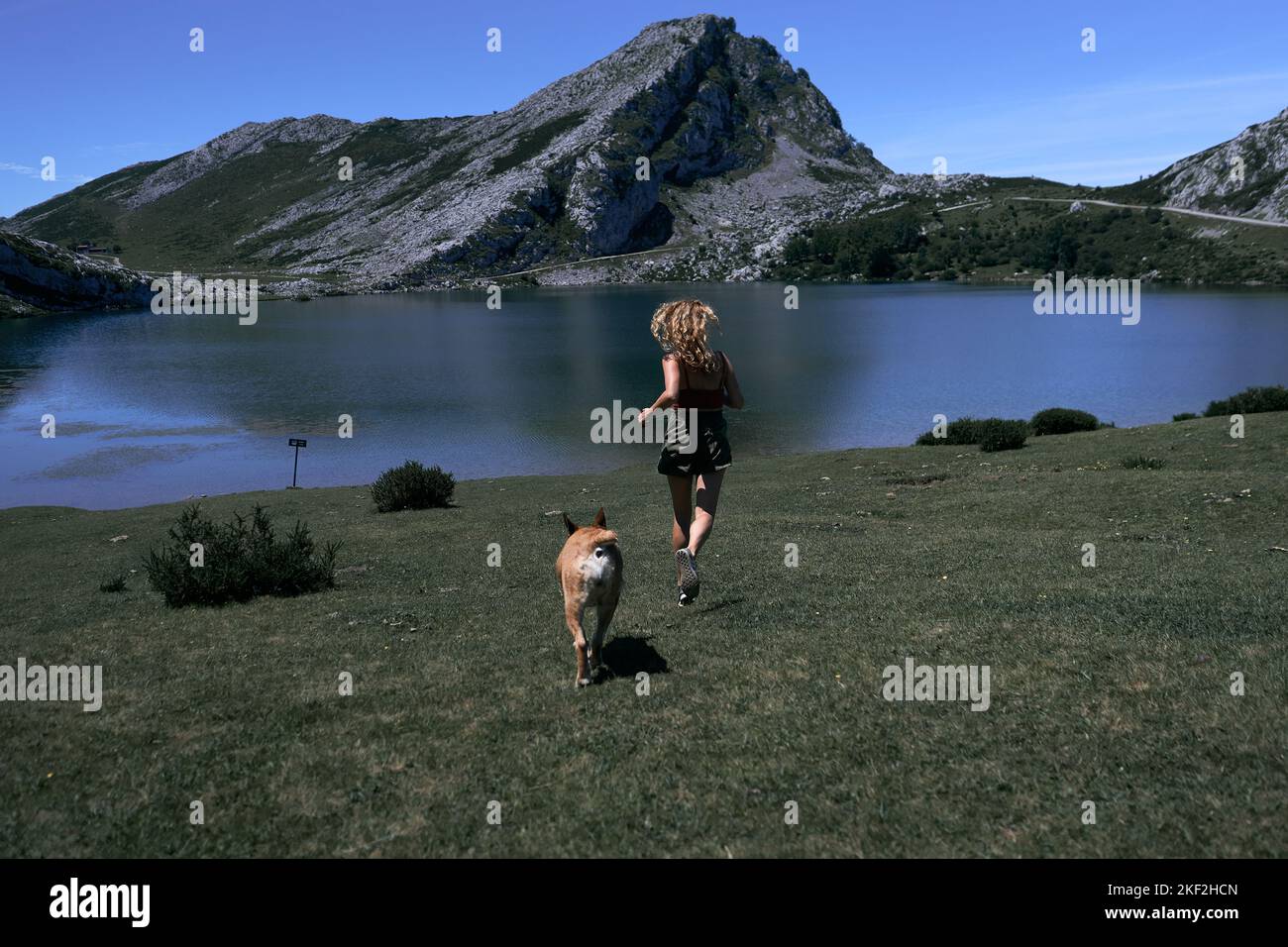 blonde caucasian young woman running towards the lake accompanied by a big blonde big dog in summer, covadonga asturias, spain Stock Photo