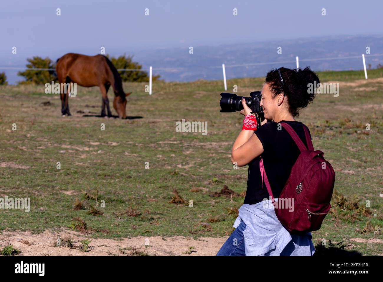A female photographer with a dslr camera is shooting a horse in Serbia during a sunny day. Travel and hobby concept. Stock Photo