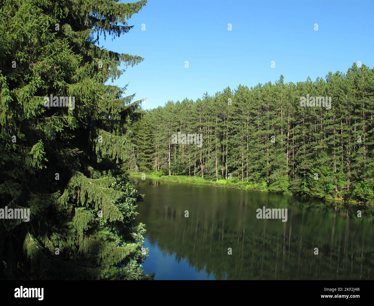 Secluded mountain lake during Summer. Kunkletown PA 2010. Stock Photo