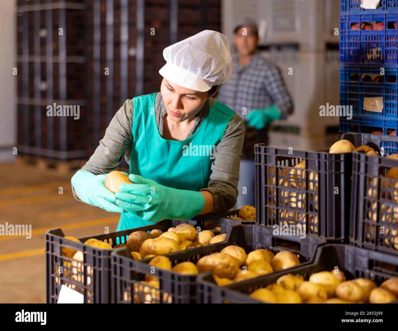 Woman in apron checking quality of potato in warehouse Stock Photo