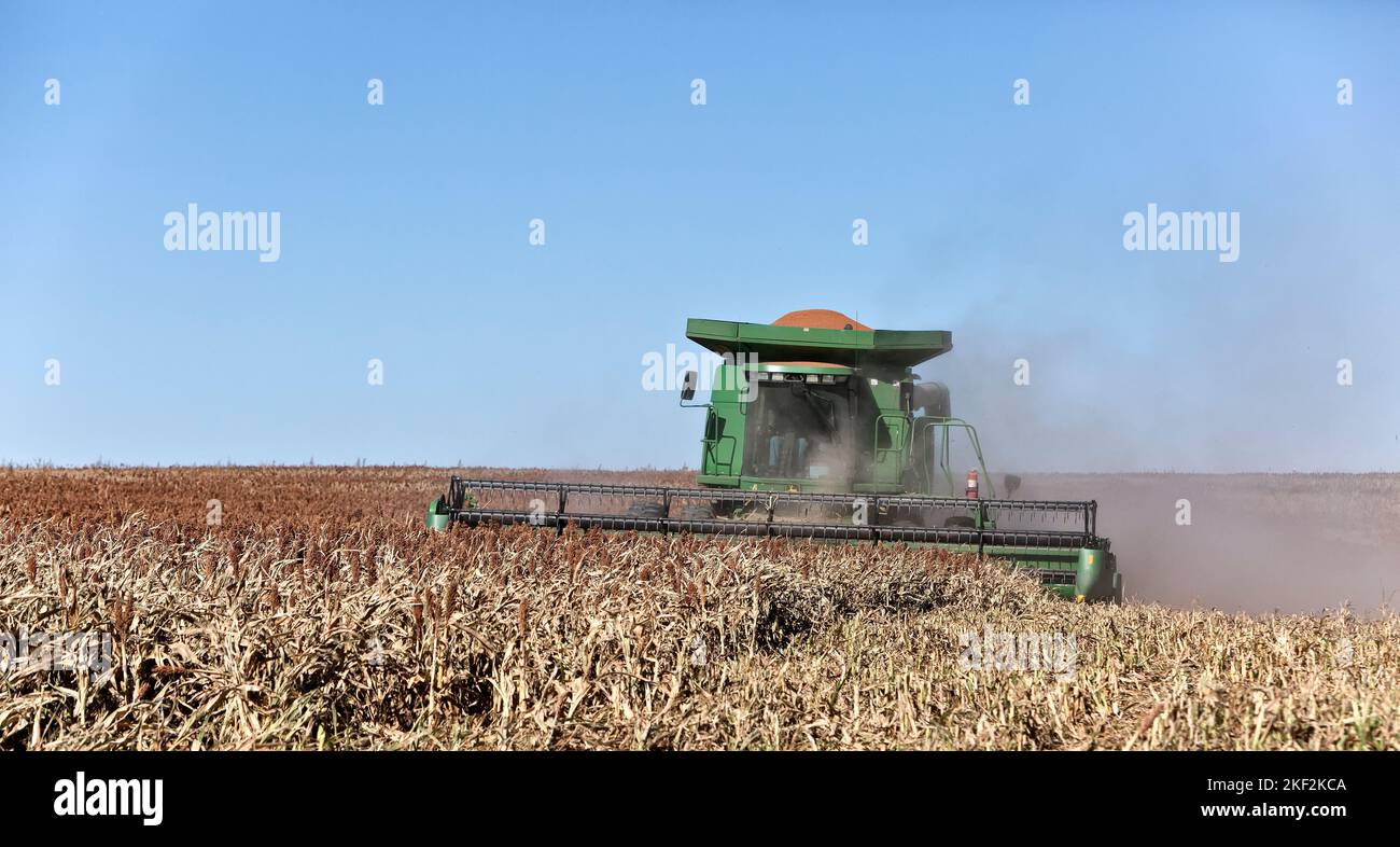 John Deere 9550 combine, farmer harvesting milo crop 'Sorghum vulgare', Trego County, Kansas. Stock Photo