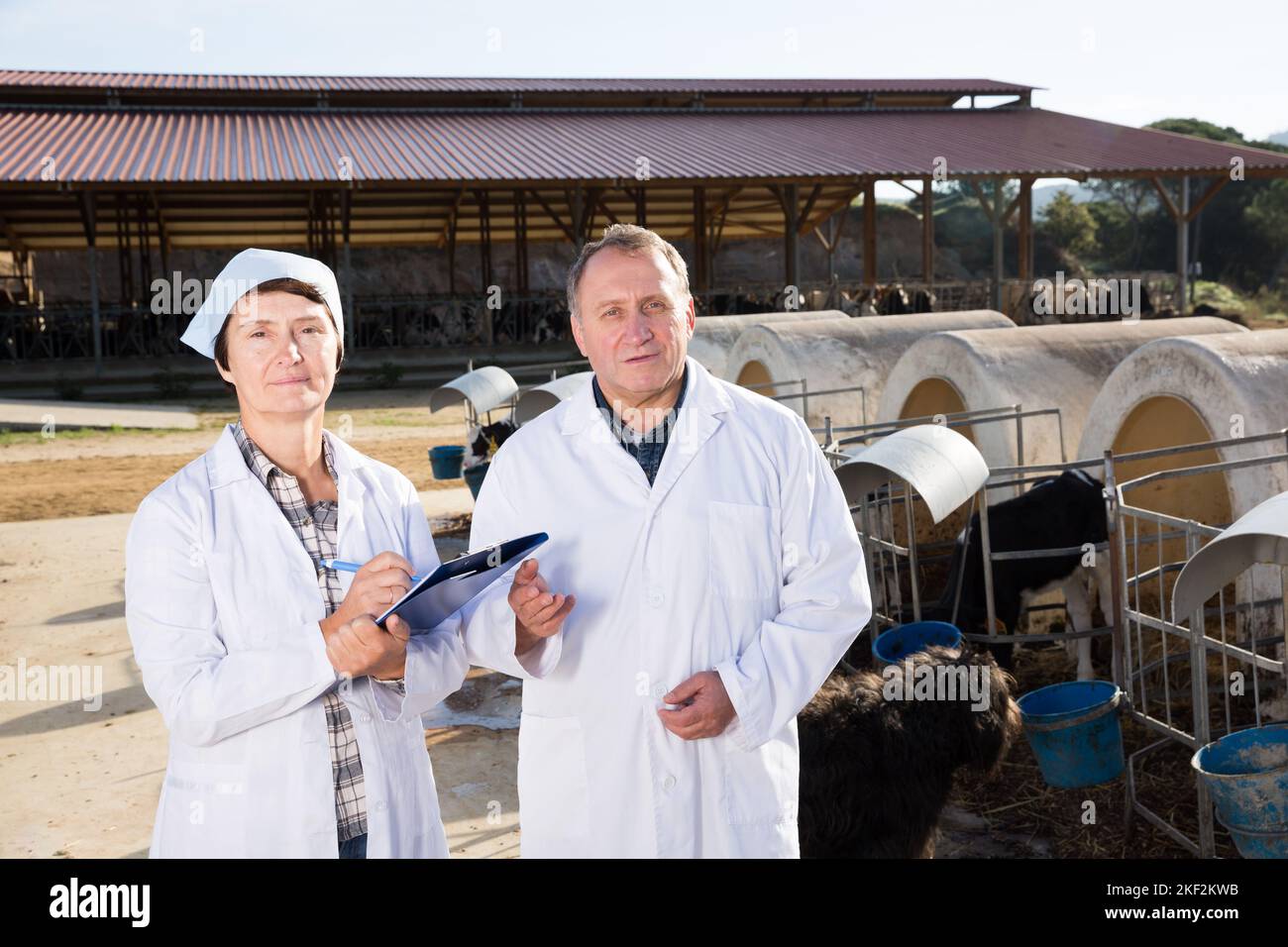 Male female experts standing hi-res stock photography and images - Alamy