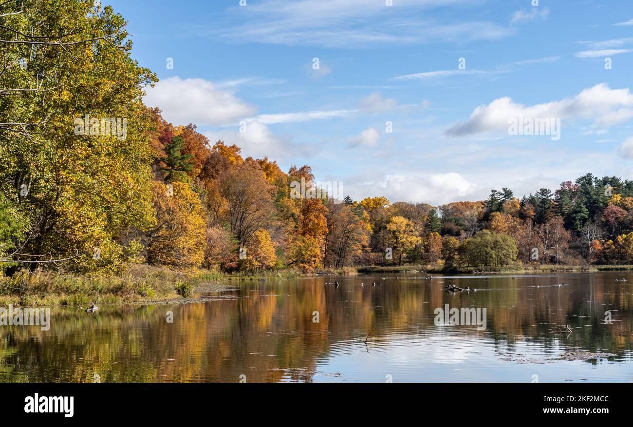 Autumn colors reflect in Beebe Lake on the Cornell University campus in Ithaca, New York Stock Photo