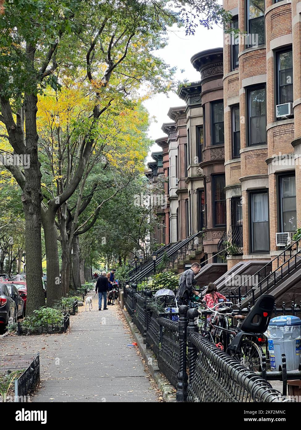 Looking up 12th Street in the residential Park SLope neighborhood which ends at Prospect Park, Brooklyn, New York. Stock Photo