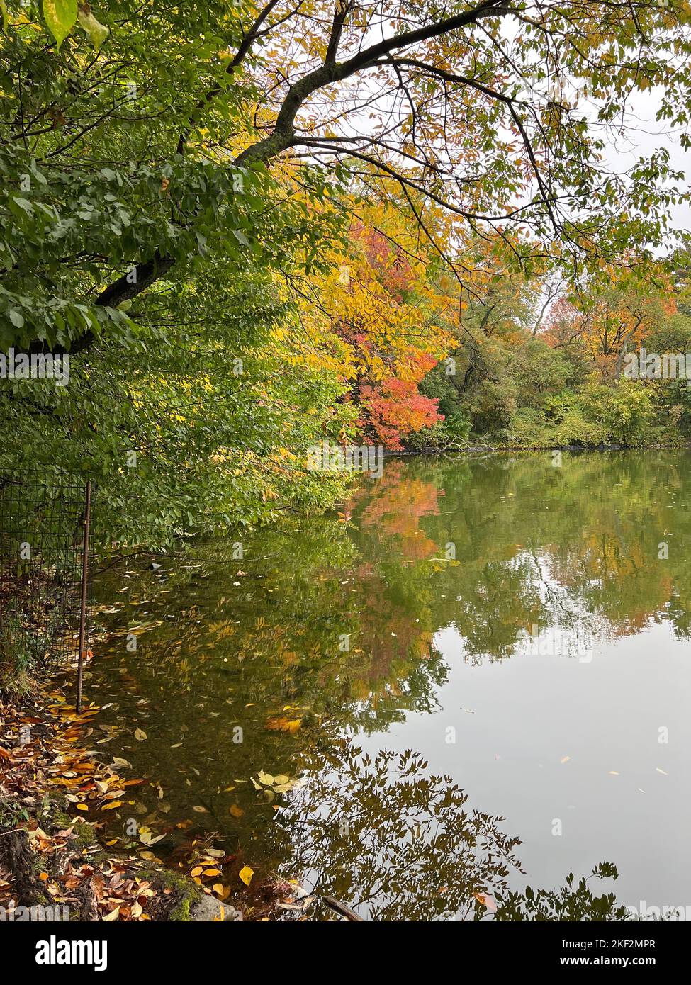 Autumn scene along the lake in Prospect Park, Brooklyn, New York. Stock Photo