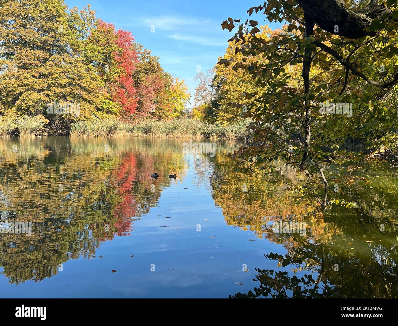 Colorful autumn scene along the lake in Prospect Park, Brooklyn, New York. Stock Photo