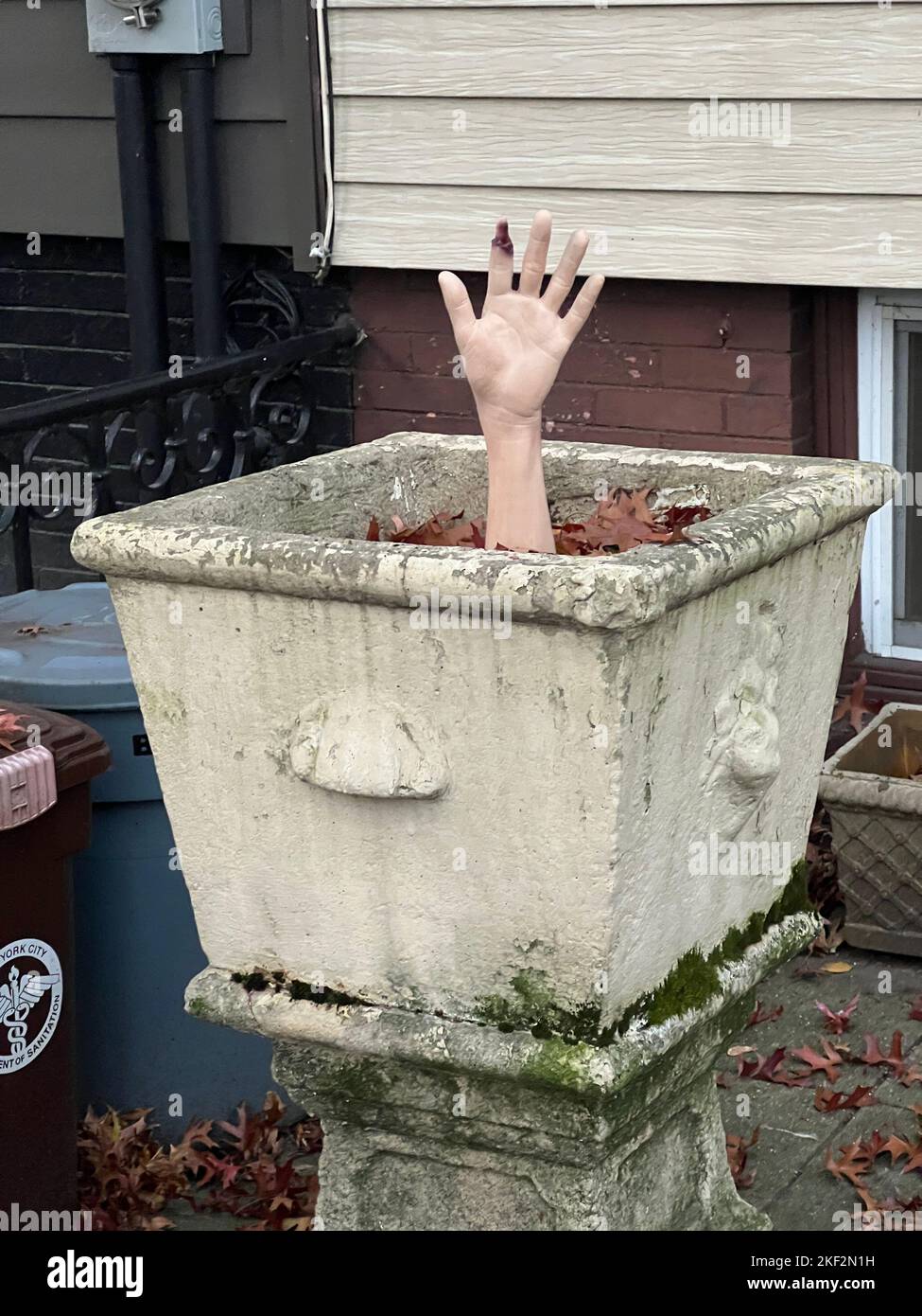Potted arm in a flower box at Halloween time seen the Park Slope neighborhood of Brooklyn, New York. Stock Photo