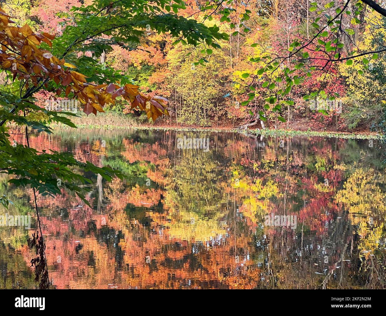 Autumn view across a pond in Prospect Park, Brooklyn, New York. Stock Photo