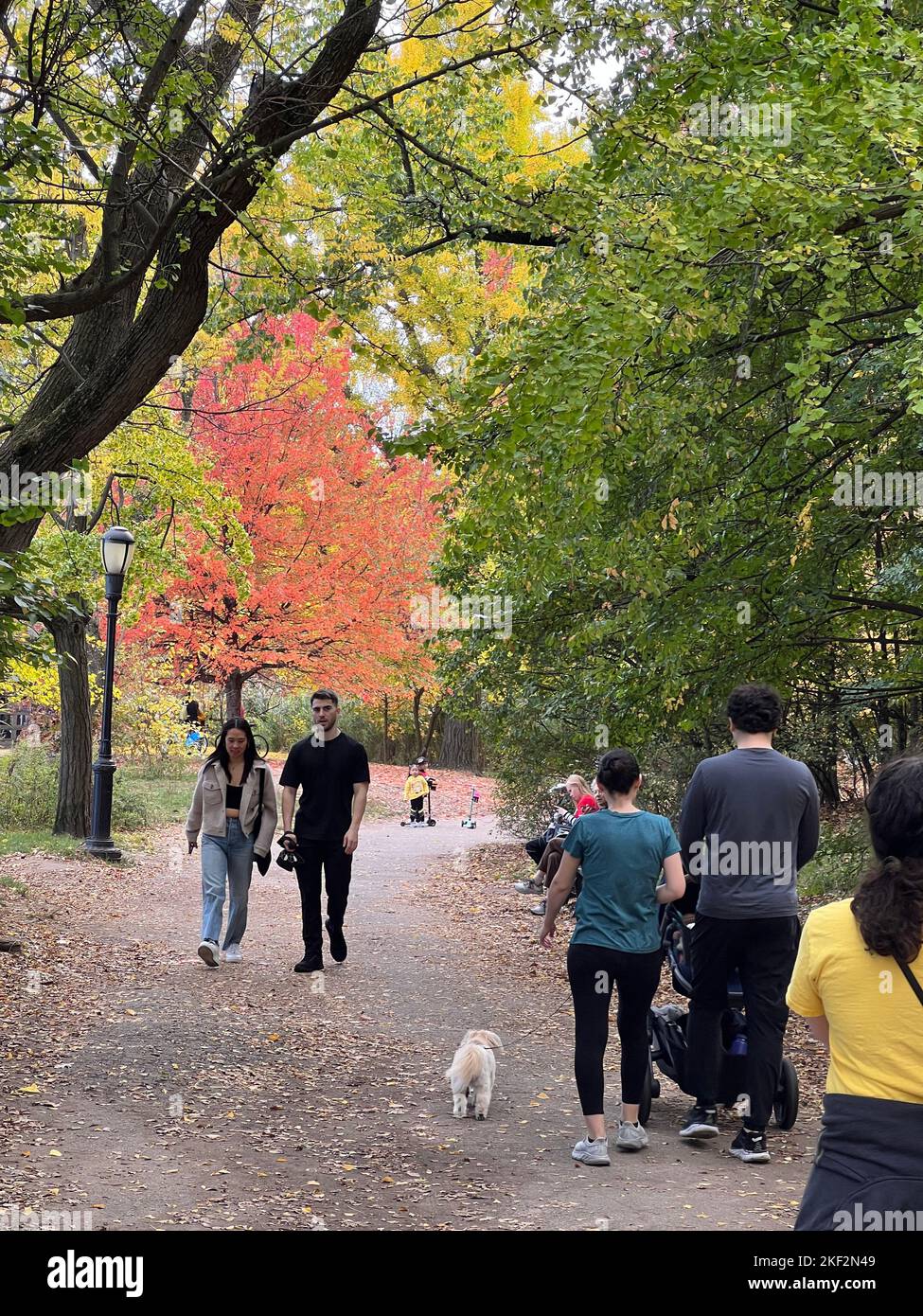 People enjoy a warm autumn day amidst   the beautiful fall colors in Prospect Park, Brooklyn, New York. Stock Photo