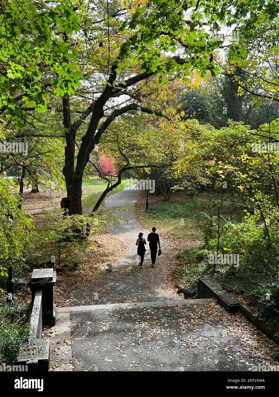 Couple walks with their dog in Prospect Park during the autumn season in Brooklyn, New York. Stock Photo