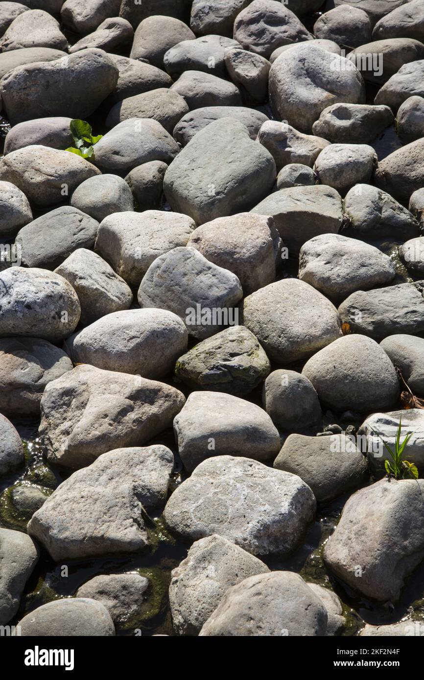 Bed of stones, Brooklyn Botanic Garden, Brooklyn, New York. Stock Photo