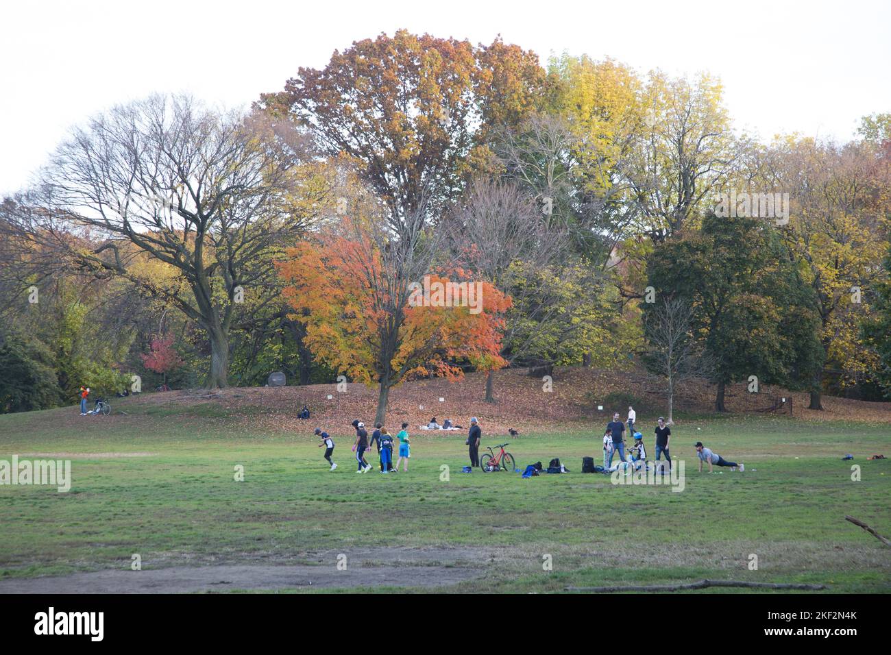 Warm November afternoon in the Long Meadow at Prospect Park in Brooklyn, New York. Stock Photo