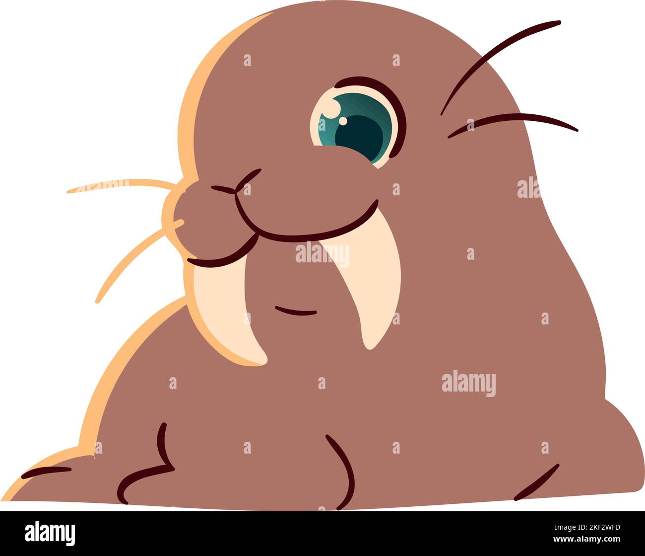 walrus cute animal Stock Vector Image & Art - Alamy