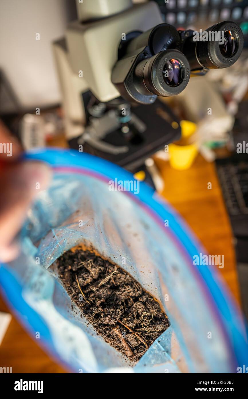 working in a soil lab iwth soil samples testing a soil test in