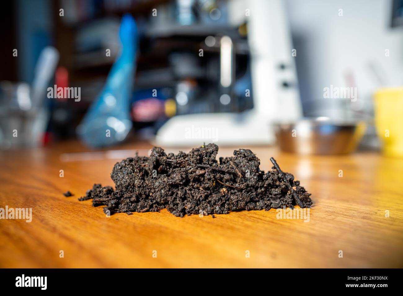 conducting a soil test in a home lab. soil on a table. brown dirt in a ...