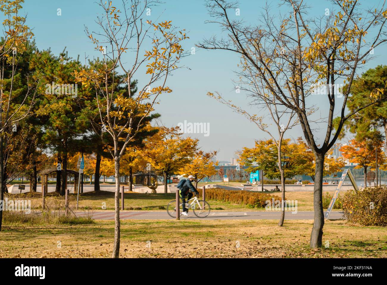 Autumn of Yeouido Hangang Park in Seoul, Korea Stock Photo