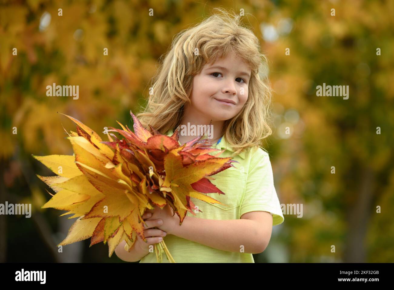 Kids face in autumn outdoor. Children portrait with yellow leaves ...