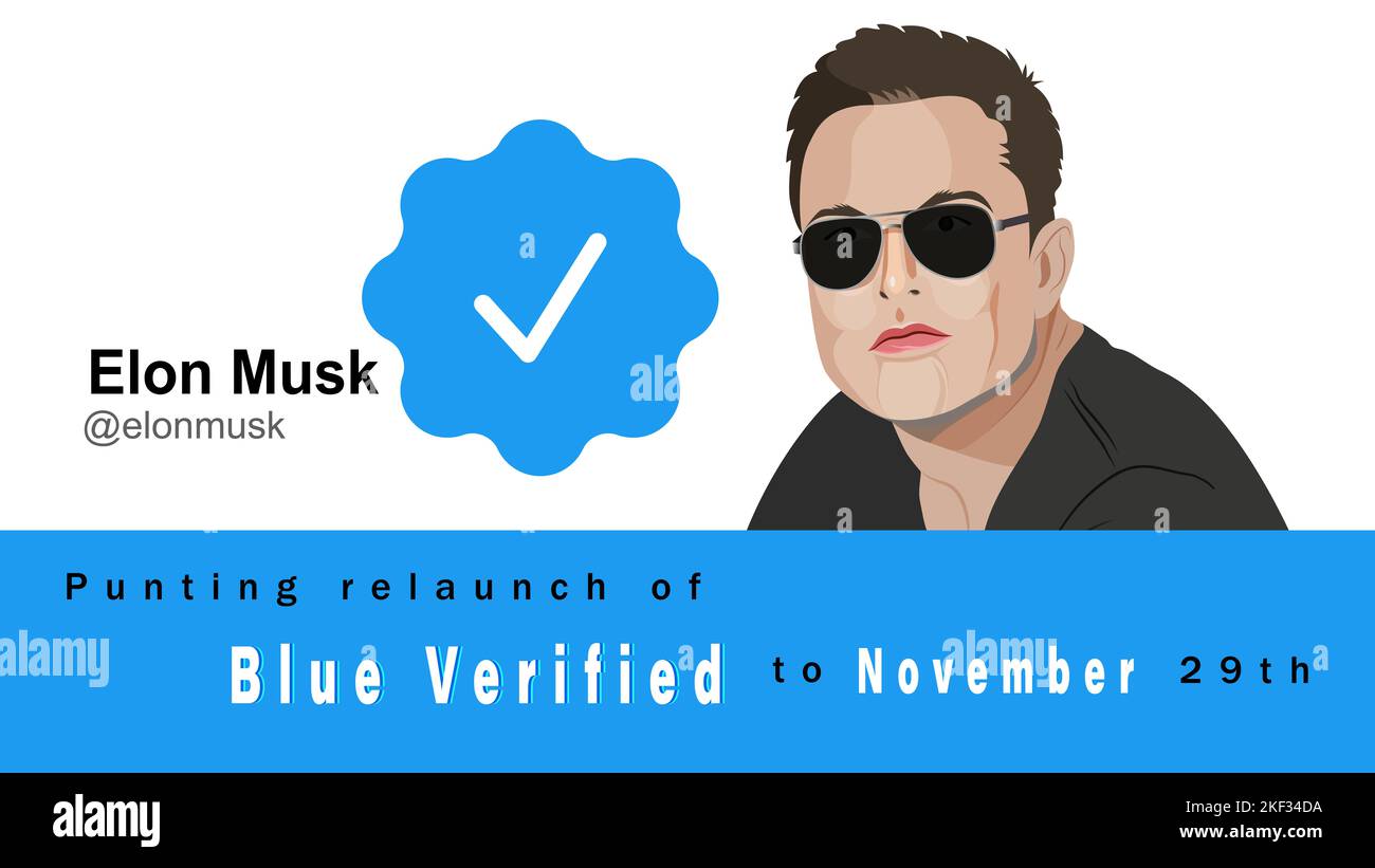Illustration of Elon Musk's tweet. November 16, 2022, Elon Musk posted