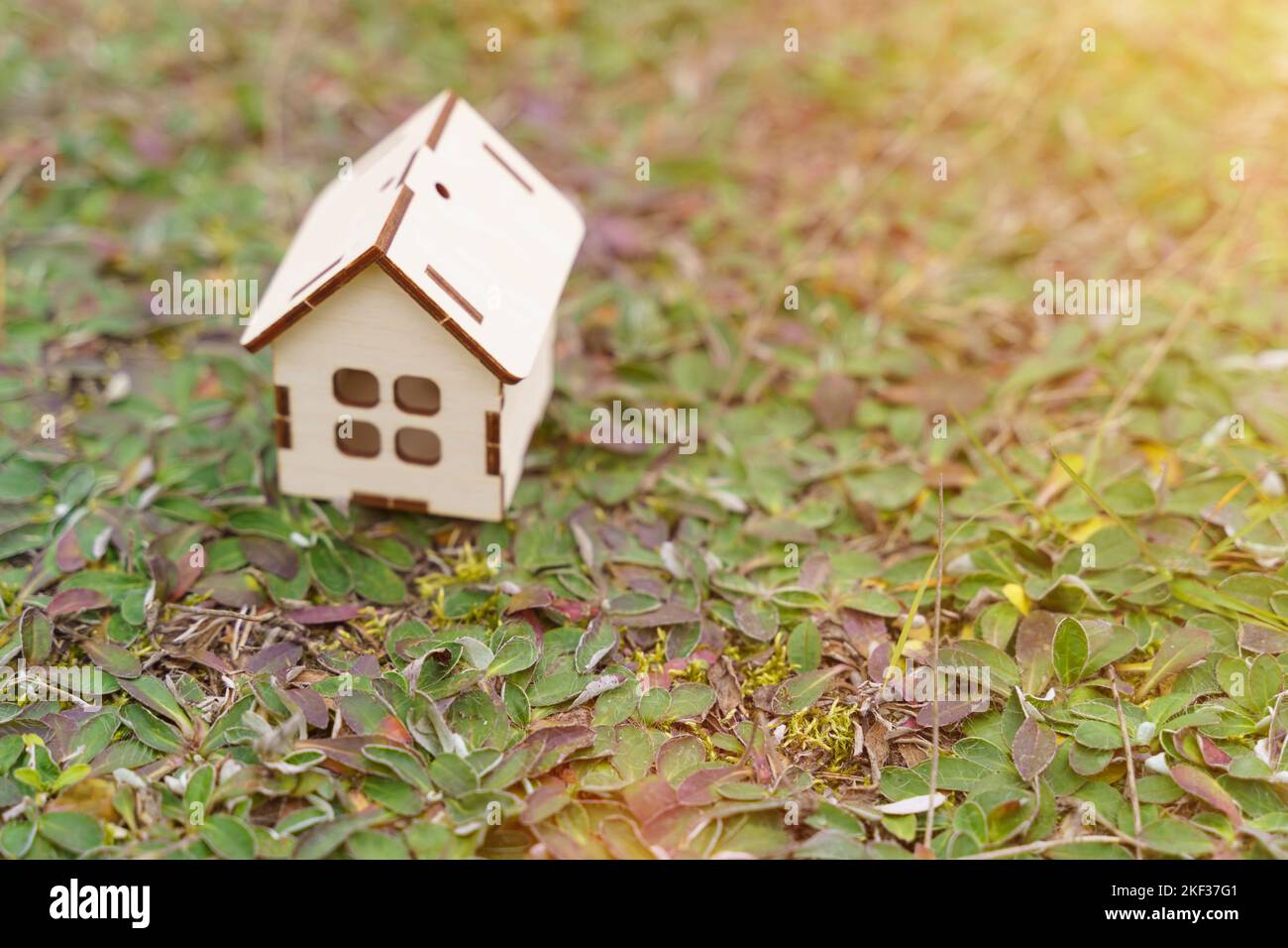 Eco home concept. There is a small wooden house on the grass Stock ...