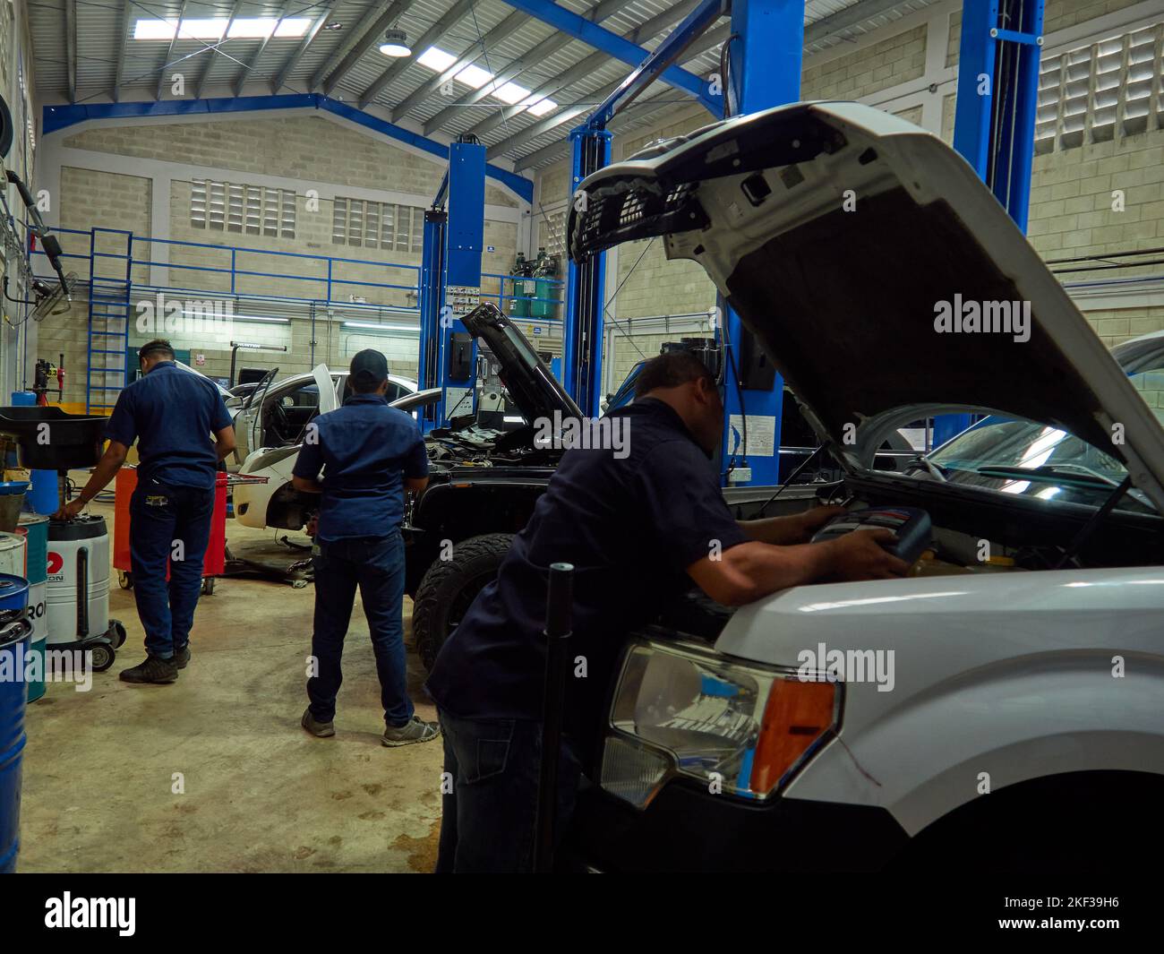 Professional mechanics where automotive mechanics engineers