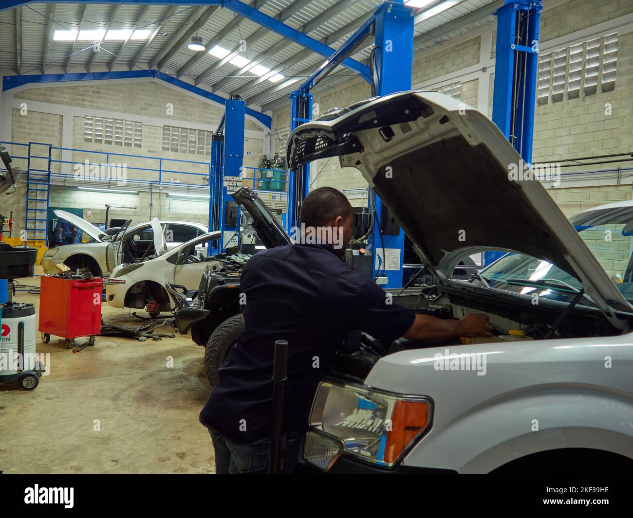 Professional mechanics where automotive mechanics engineers