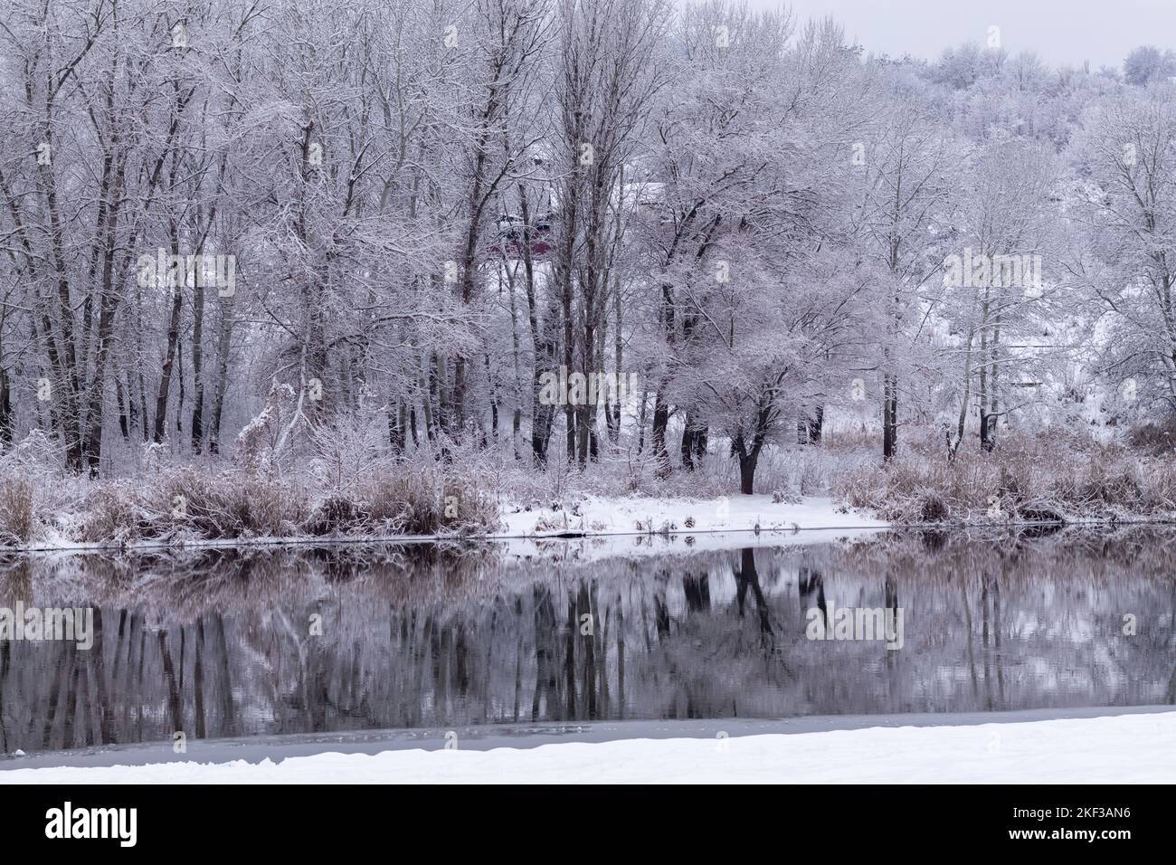 Snowy winter forest river hi-res stock photography and images - Alamy