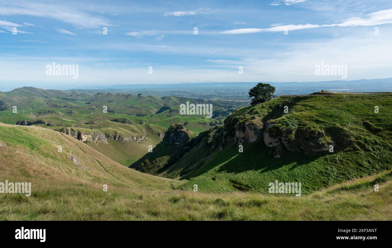 Rolling Landscape Of Te Mata Peak Hawke s Bay New Zealand Stock Photo rolling-landscape-of-te-mata-peak-hawke-s-bay-new-zealand-stock-photo