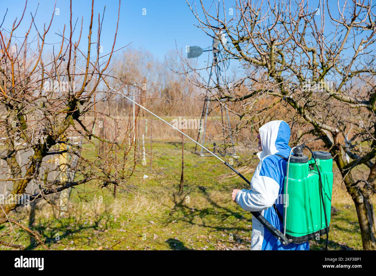 Farmer in protective clothing sprays fruit trees in orchard using long