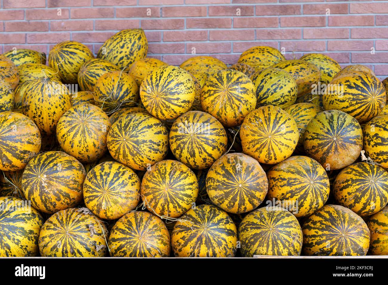Melons on the counter of the market or supermarket. Fresh juicy sweet melons during the harvest at the agricultural farm. High quality photo Stock Photo