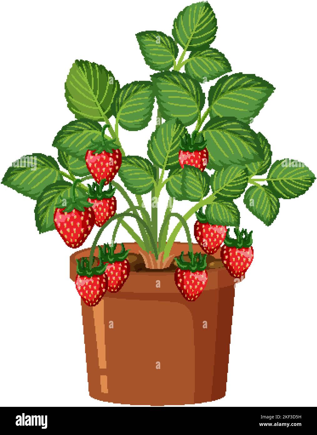 Free Strawberry plant Icons, Symbols & Images | BioRender
