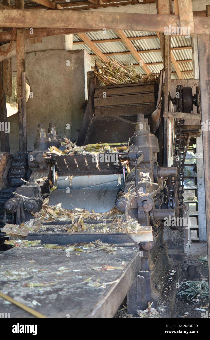 Caribic sugar cane rum production curacao island Stock Photo Alamy
