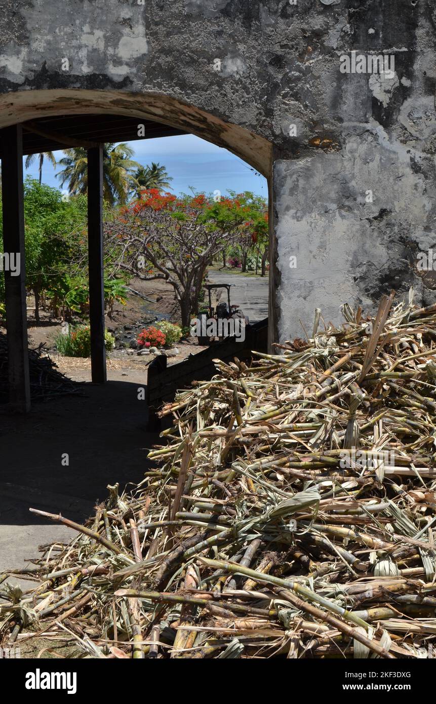 Caribic sugar cane rum production curacao island Stock Photo - Alamy