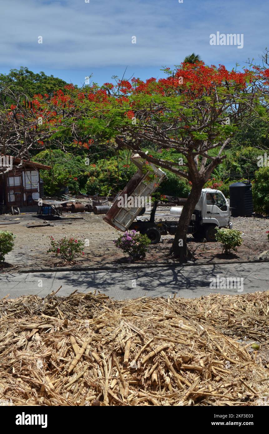 Caribic sugar cane rum production curacao island Stock Photo Alamy