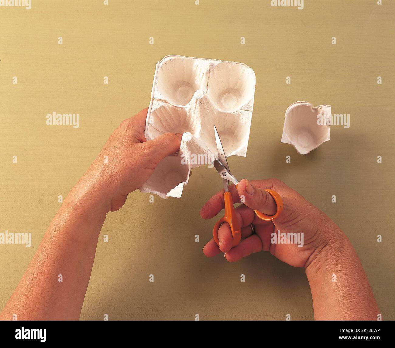 Cutting a cup from an egg carton Stock Photo Alamy
