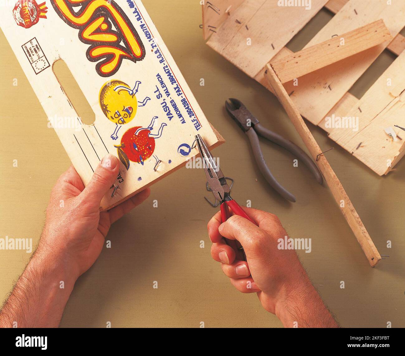 Removing a wire staple with longnosed pliers Stock Photo Alamy