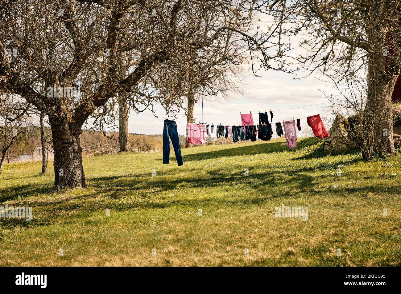 Clothesline hanging between trees Stock Photo Alamy