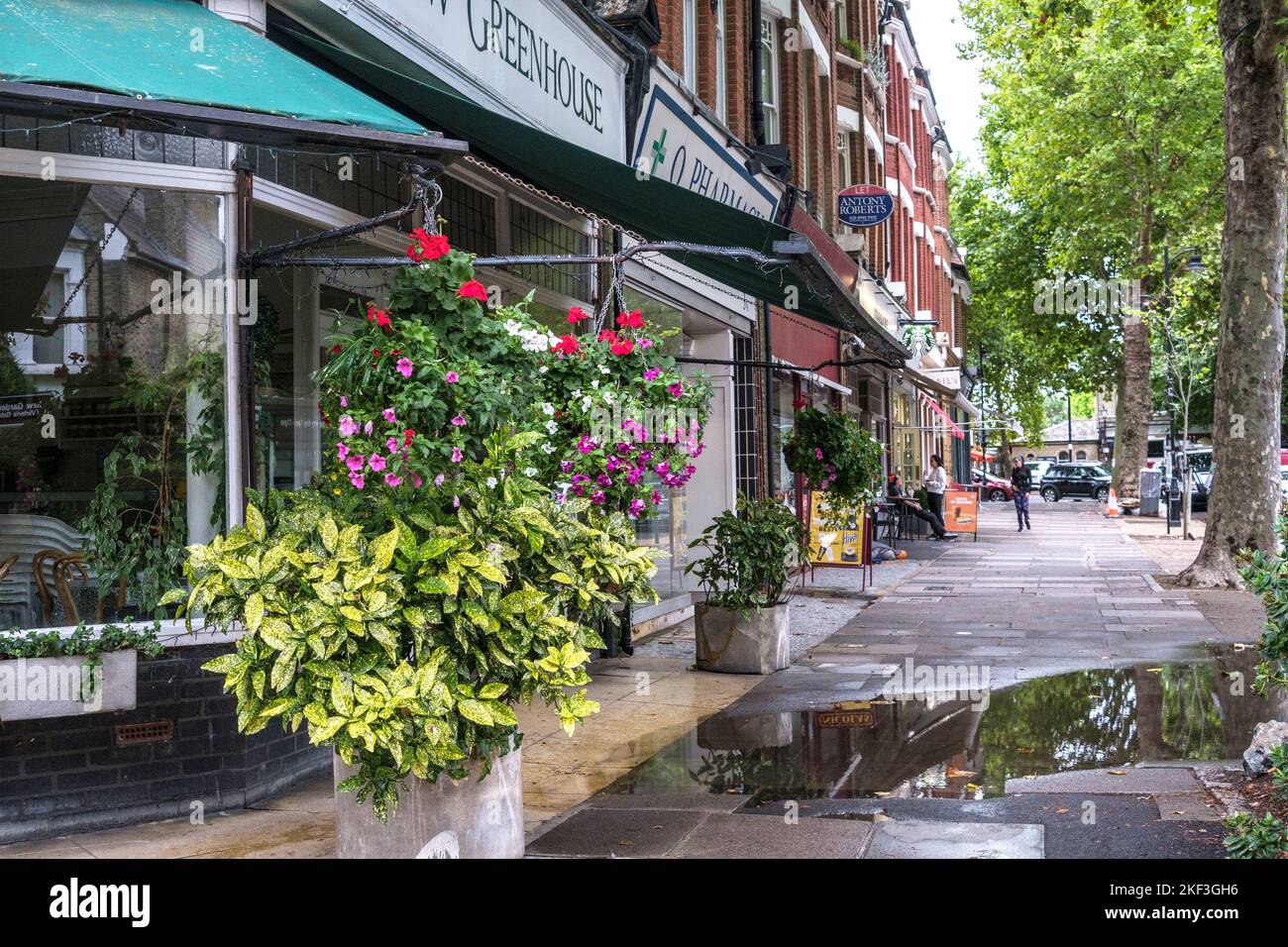Shops on tree lined Station Parade with wet pavement at Kew, Richmond